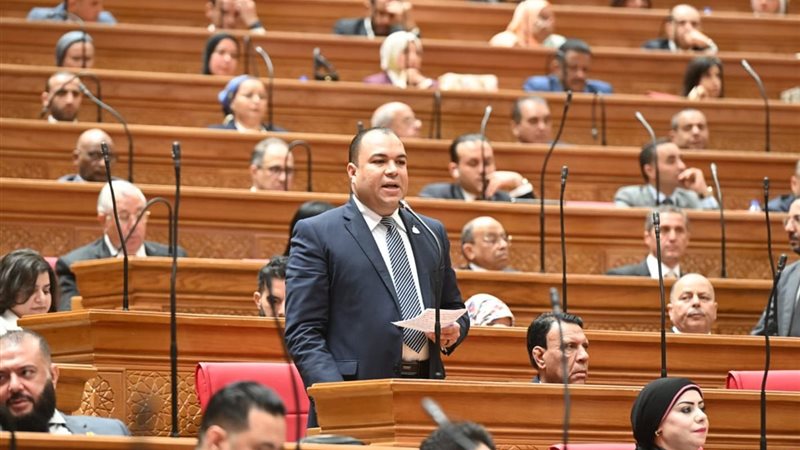 النائب أحمد عصام