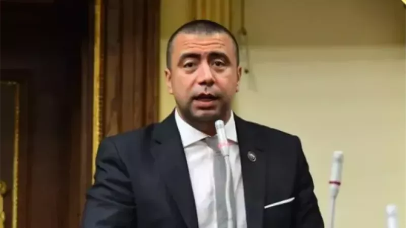  النائب أحمد بهاء