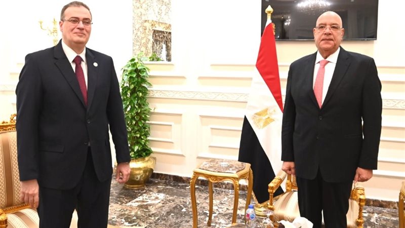 المستشار هشام بدوي