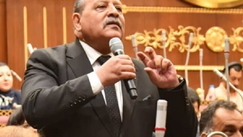 النائب أحمد شعبان