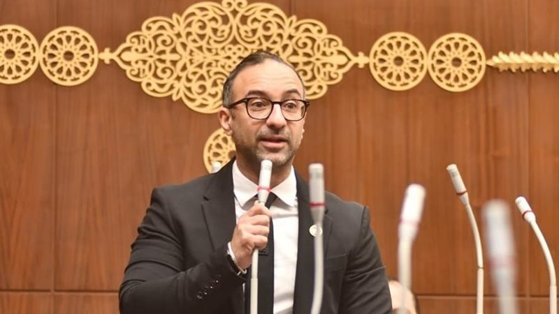 النائب أحمد الحمامصي