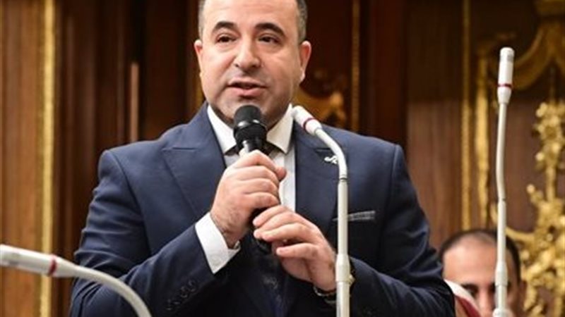  النائب أحمد بدوي