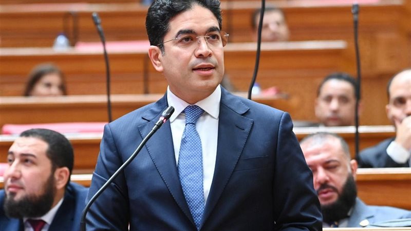 النائب ضياء الدين داوود