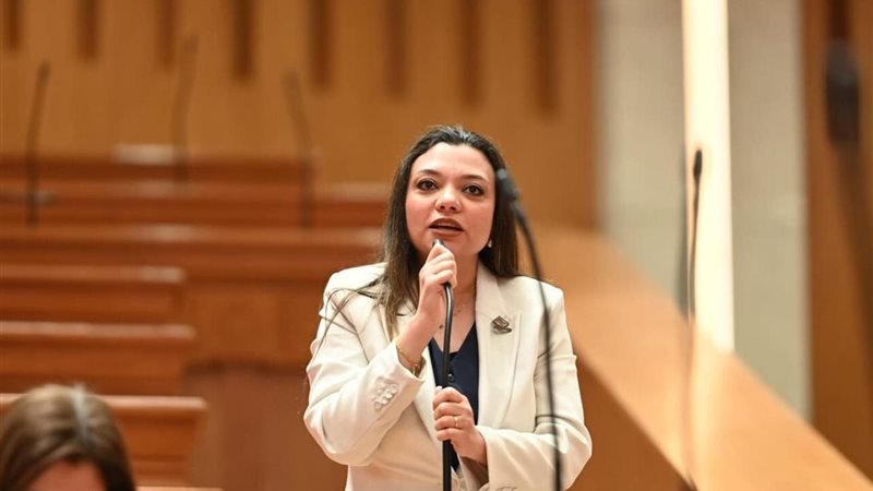  النائبة مي كرم جبر