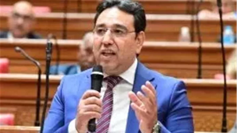 النائب أيمن محسب