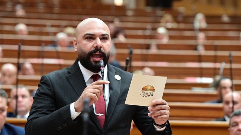  النائب إبراهيم الديب