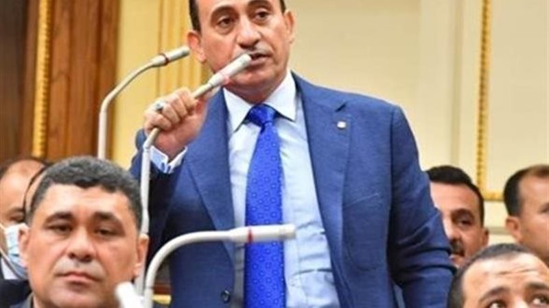  النائب محمد زين الدين