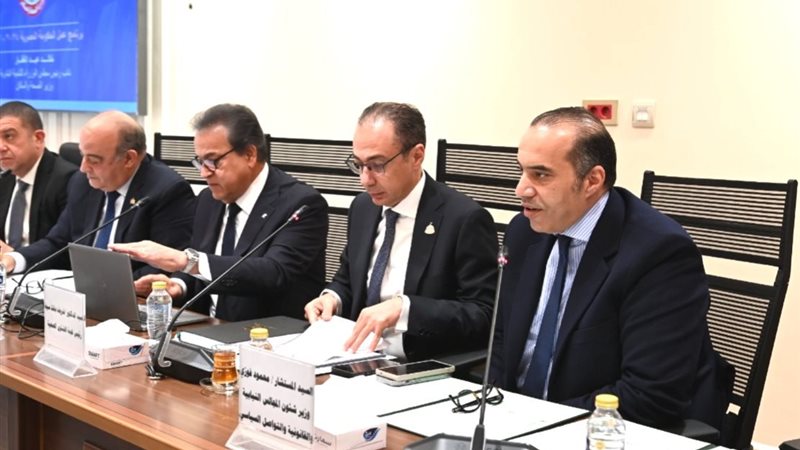 المستشار محمود فوزي