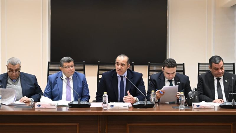 المستشار محمود فوزي