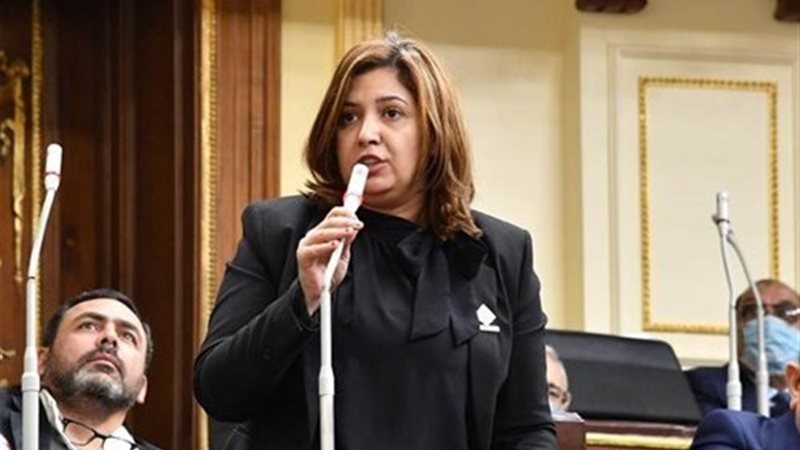 النائبة أميرة العادلي