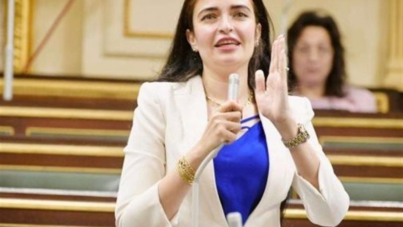 النائبة إيرين سعيد