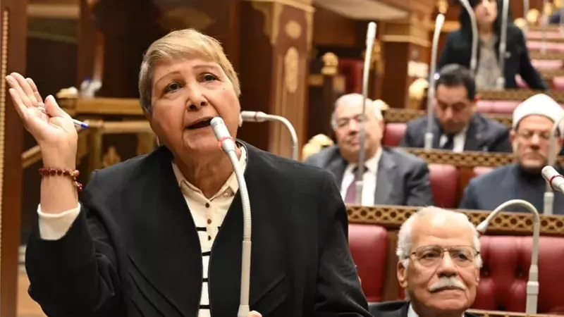 النائبة أمينة النقاش