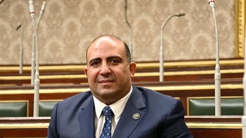 النائب محمد سليم