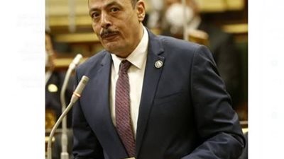 النائب أشرف أمين 