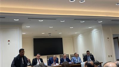 عبد الرحمن بشاري: تأخر مشروعات الصرف الصحي بالأقصر 18 سنة