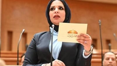 النائبة مروة حلاوة 