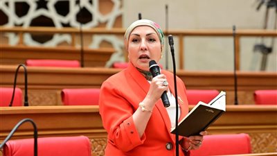 هالة أبو السعد: تصريحات السفير الأمريكي تحريض على انتهاك القانون الدولي