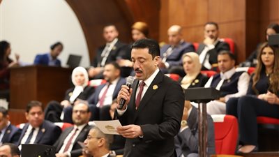 النائب محمد رزق: قمة الزعيمان السيسي وبن سلمان تعزز التنسيق لحماية الأمن 