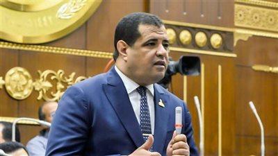 عضو بالشيوخ: أولويات الحكومة بعد التعديل الوزاري هي دعم الصناعة