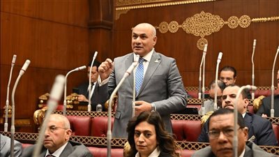  عضو مجلس شيوخ: المتحدة تقدم رسائل وقيم تعالج كافة القضايا  