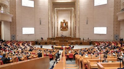 مجلس النواب 