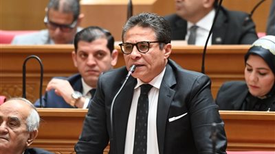 الخولي:نلتف حول القيادة السياسية ونأمل أن يعرض رئيس مجلس الوزراء خطة واضحة