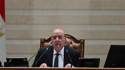 هشام بدوي: وحدة الدول العربية تمثل صمام الأمان لمواجهة التحديات الراهنة