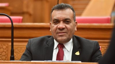 برلماني: إحالة المتلاعبين بالأسعار للقضاء العسكري تعكس وعي الدولة بالأزمات