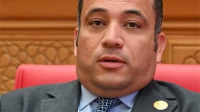  النائب هاني شحاتة 