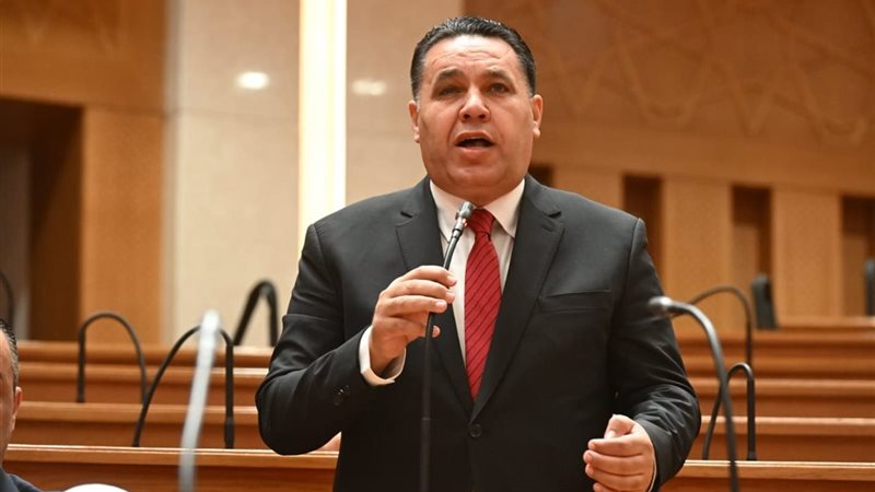 النائب عماد الغنيمي