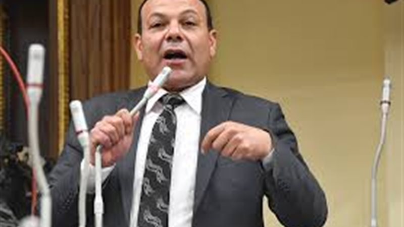 النائب عبدالله لاشين