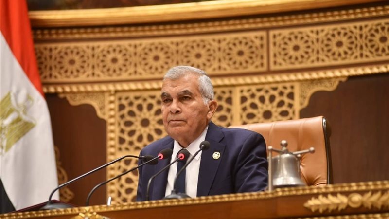 المستشار عصام فريد