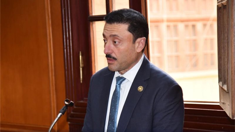 النائب محمد رزق