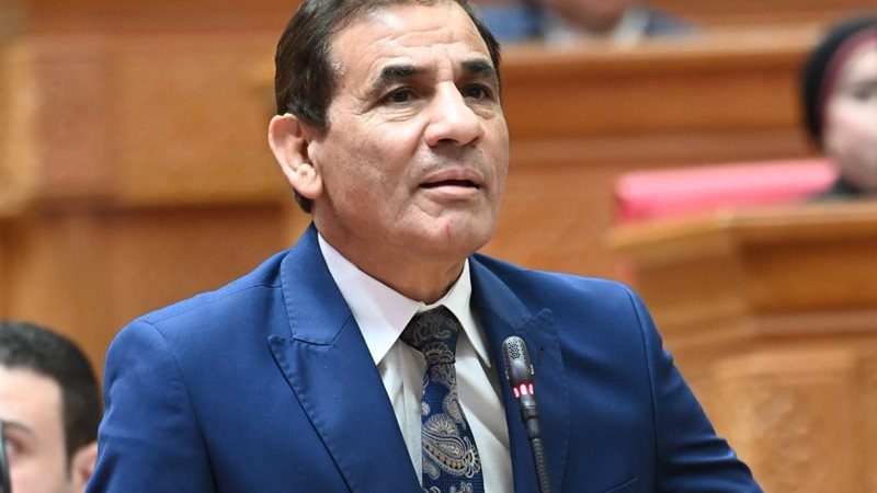 النائب محمد عبد العليم