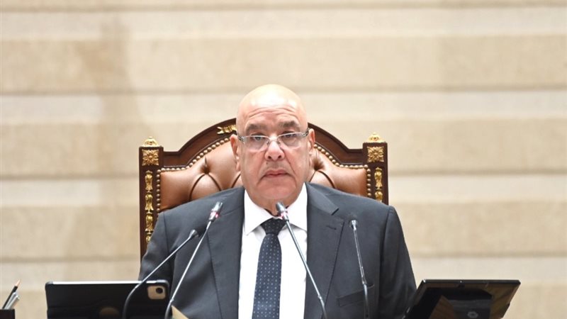 المستشار هشام بدوي