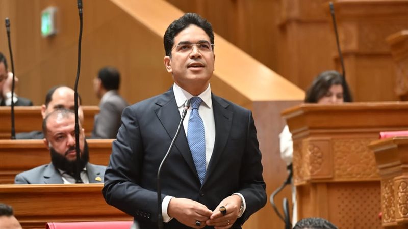  النائب ضياء الدين