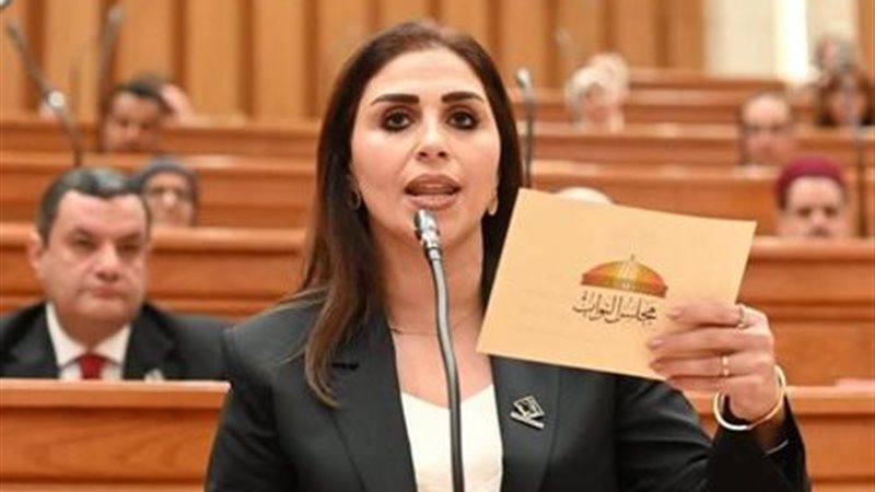  النائبة إنجي مراد