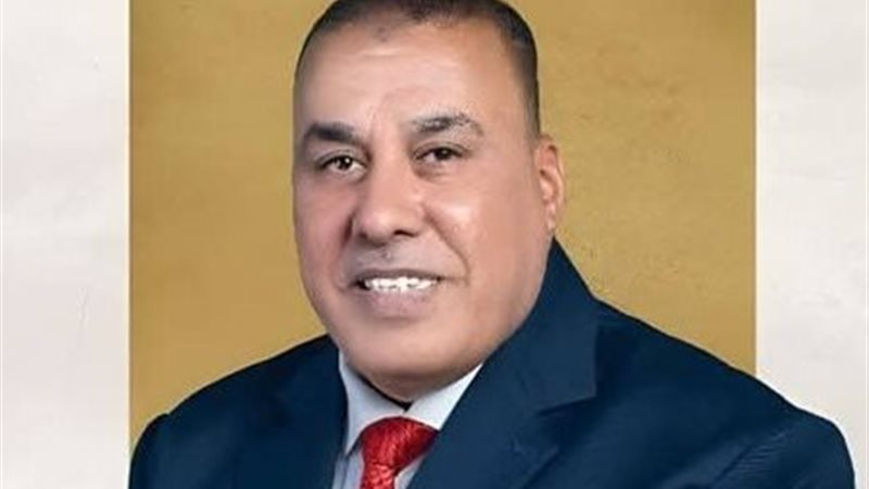  النائب محمد أبو النصر،