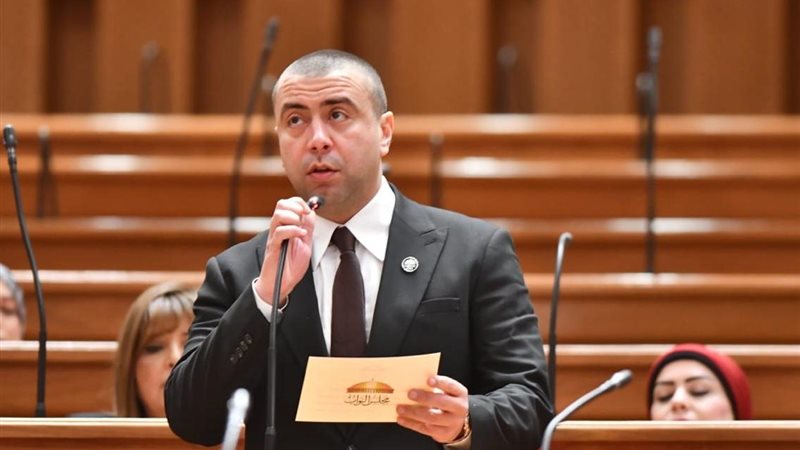 المهندس أحمد بهاء شلبي