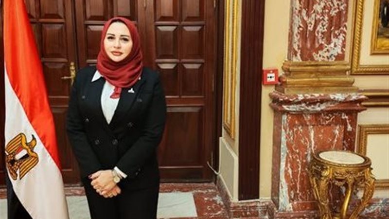 النائبة شيرين صبري