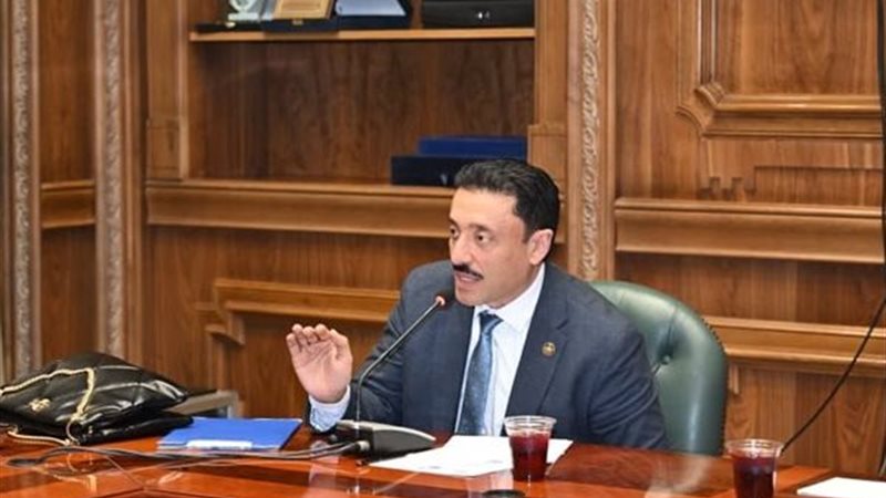  النائب محمد رزق