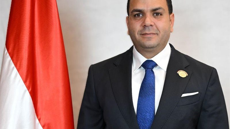 النائب مصطفى متولي،