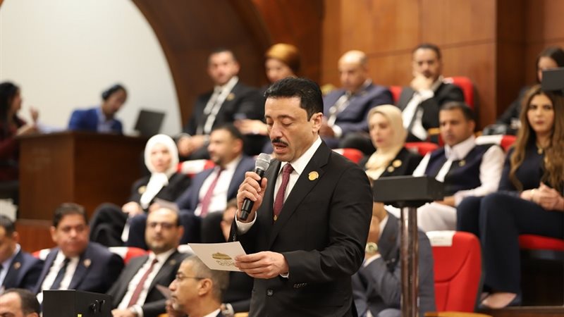 النائب محمد رزق 