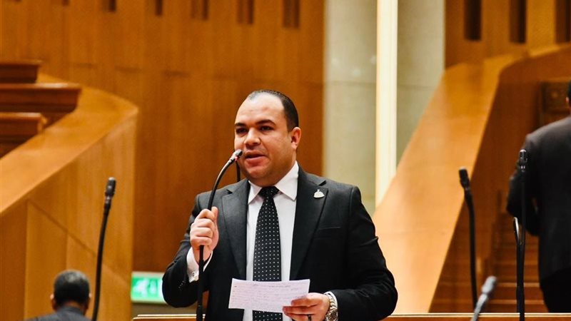 النائب أحمد عصام الدين 