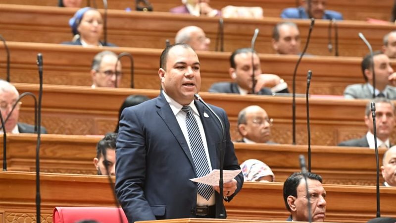 النائب احمد عصام