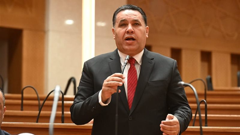 النائب عماد الغنيمي