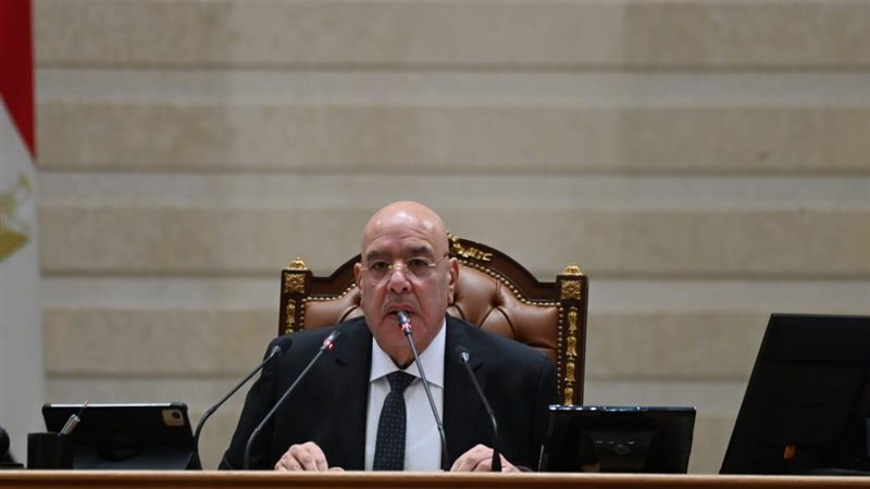 المستشارهشام بدوي