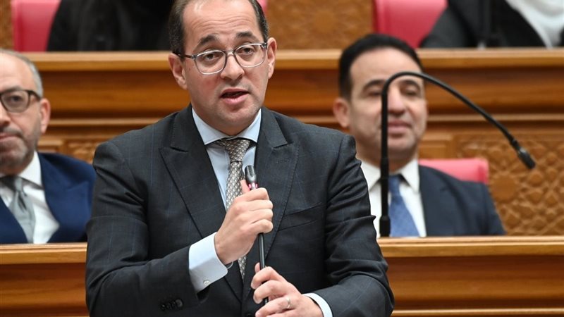 وزير المالية احمد