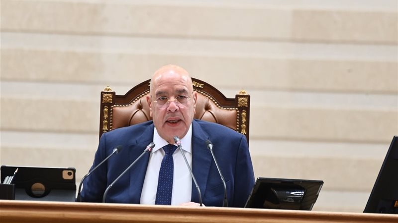 المستشار هشام بدوي