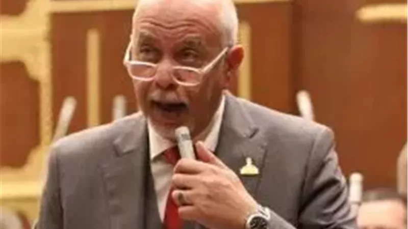 النائب حازم الجندي